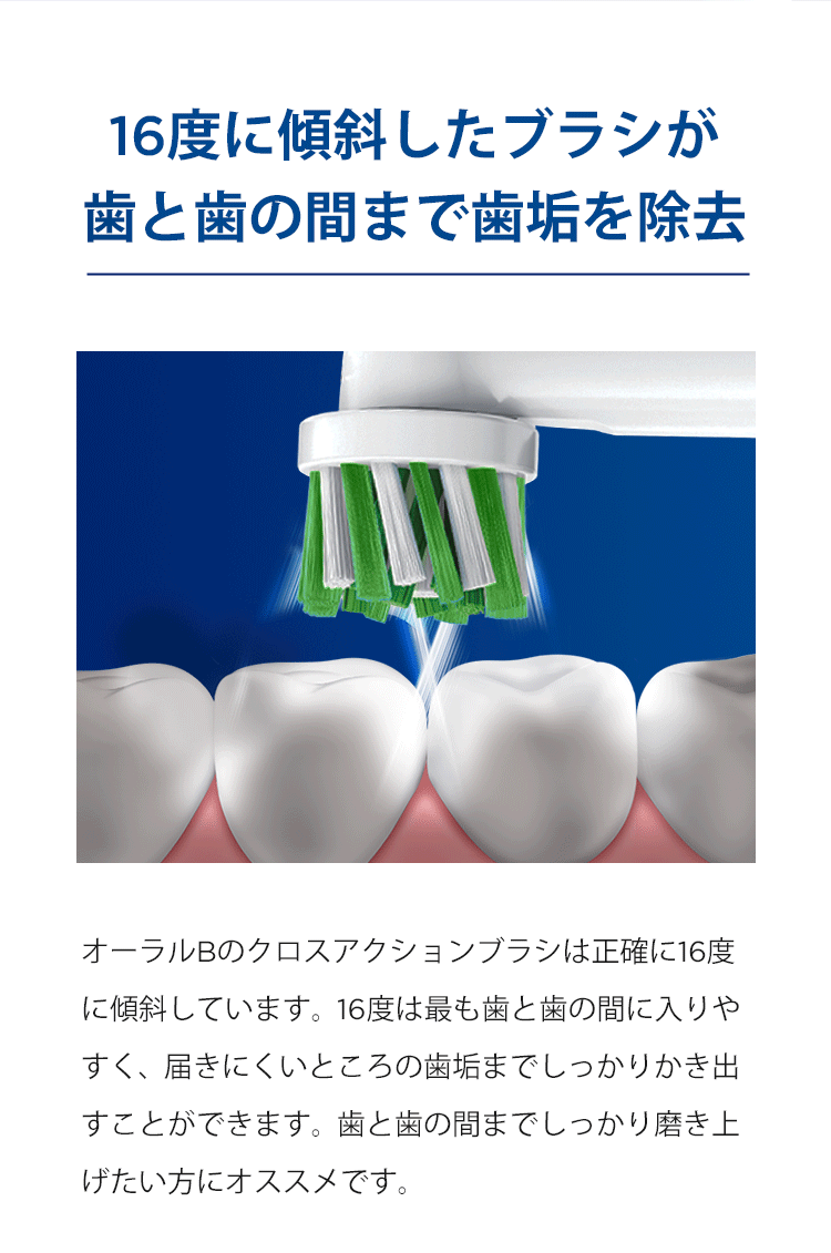歯と歯の間まで歯垢を除去